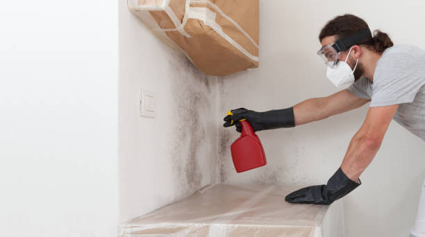 Professional Mold Cleanup technician working in Lynbrook, NY